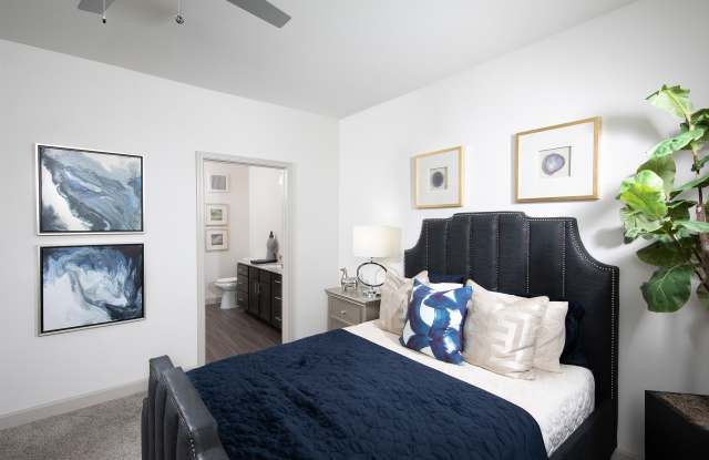 Luxe at Rowlett - 55+ Active Adult Apartment Homes Gallery 3