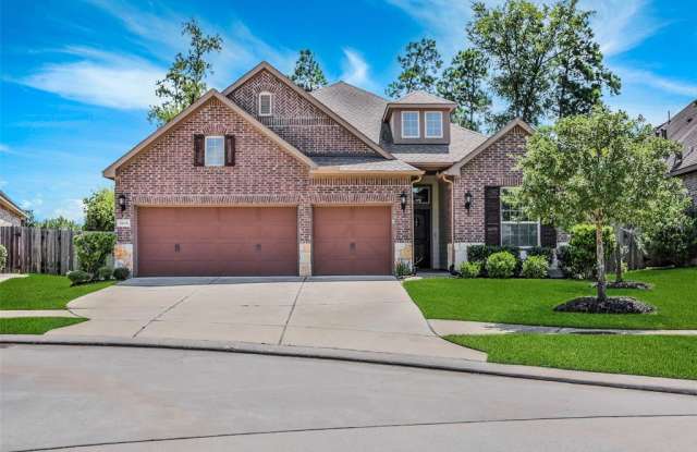 31636 Sutter Springs Lane - 31636 Sutter Springs Lane, Montgomery County, TX 77386