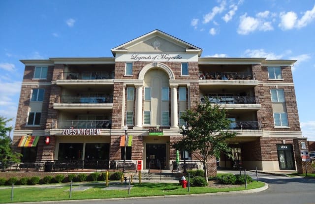 234 W Magnolia Unit 413 - 234 W Magnolia Ave, Auburn, AL 36830
