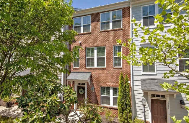 Pet-Friendly Townhome With Rooftop Terrace + Blue Ridge Mountain Views photos photos