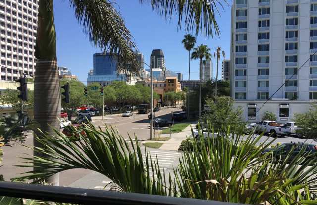 1 bedroom, 1 bath Perfect Property in Downtown! - 201 6th Street South, St. Petersburg, FL 33701