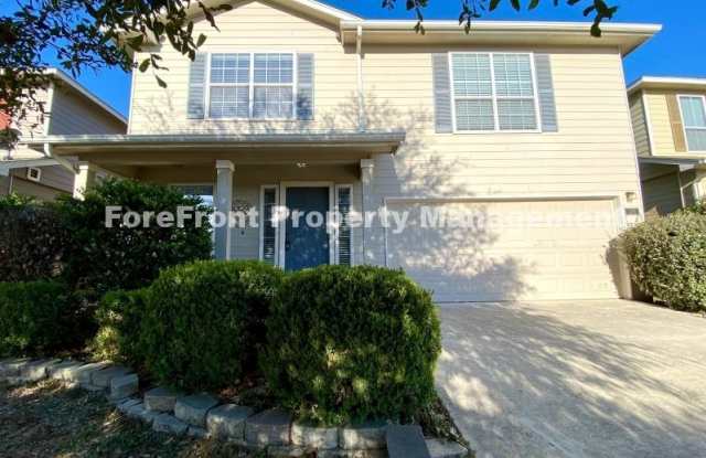 215 Coopers Hawk photos photos