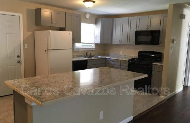 2821 Materhorn Dr - 2821 Materhorn Drive, Dallas, TX 75228