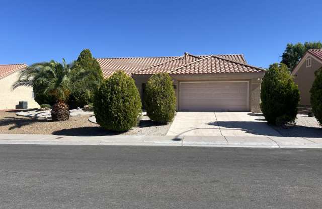 Beautifully Updated 2 Bedroom, 2 Bathroom Home in Sun City Summerlin – Age-Restricted 55+ Community photos photos