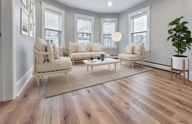 $3795 - Modern Jamaica Plain 3bed / 1bath available 9/1/2026 photos photos