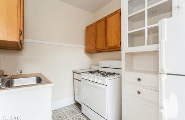 545 W Aldine Ave 2S - 545 W Aldine Ave, Chicago, IL 60657