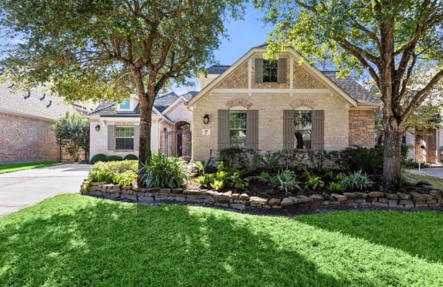 39 Columbia Crest Place - 39 Columbia Crest Place, The Woodlands, TX 77382
