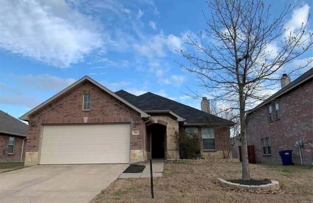 510 Indian Paintbrush - 510 Indian Paintbrush Drive, Fate, TX 75087