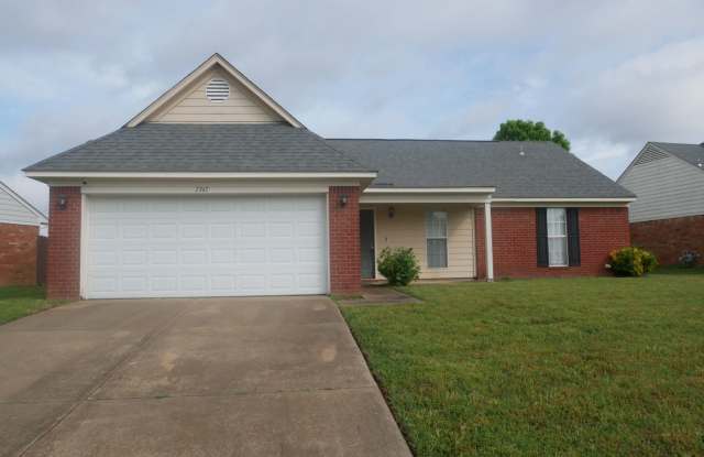 7747 Mary Payton, Southaven, MS photos photos