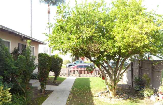 Parton 1521-1527 photos photos