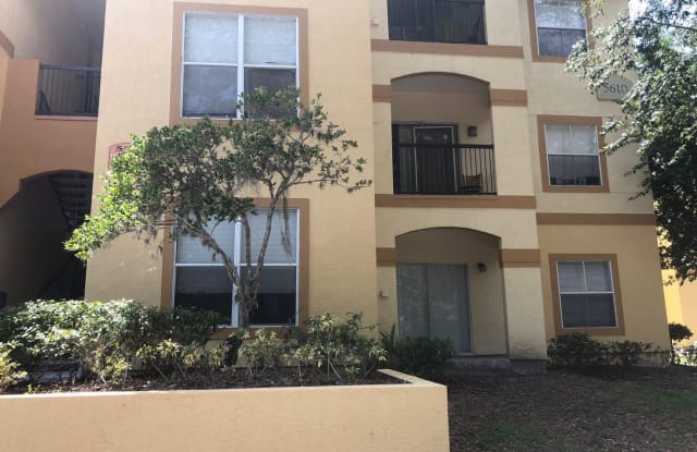 5610 Pinnacle Heights Cr, #101 - 5610 Pinnacle Heights Cr 101, Carrollwood, FL 33624