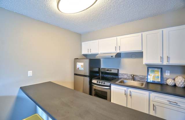 The Zimmer photos photos