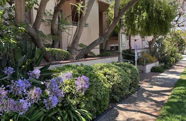 Corsican Apartments photos photos