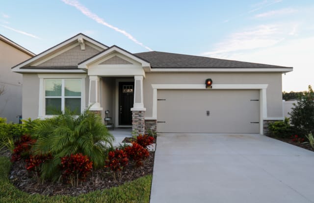 13105 Rain Lily Dr - 13105 Rain Lily Drive, Riverview, FL 33579