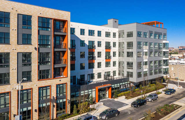 Alta Federal Hill Gallery 2