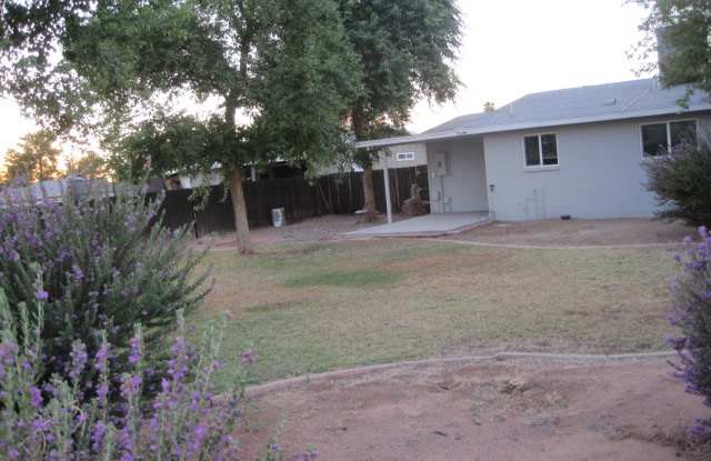 241 N Birch ct Gallery 4
