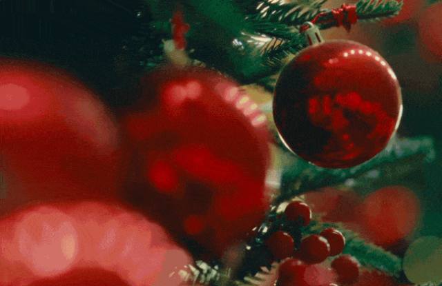 Windsor Crossing photos photos