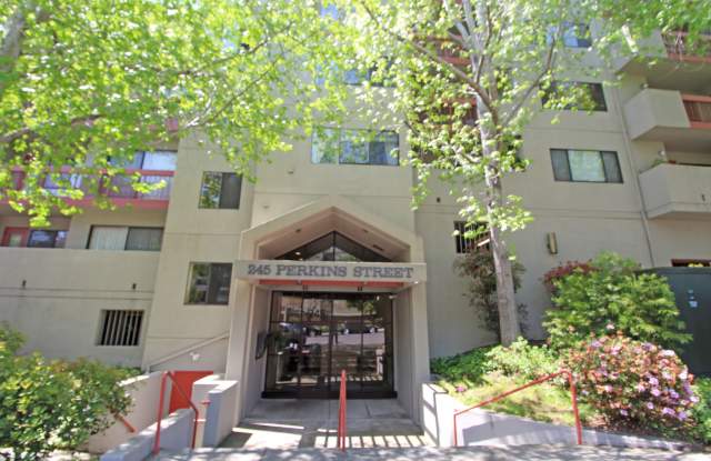 Spacious Adam's Point Condo Available NOW! photos photos