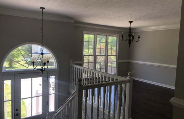 205 Rebel Ridge Gallery 4