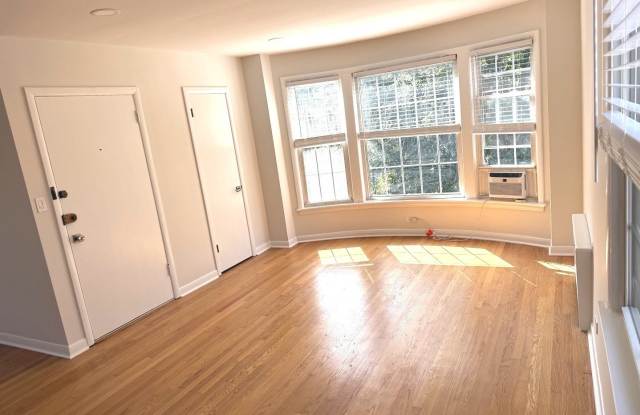 2718 W Balmoral Avenue Gallery 2