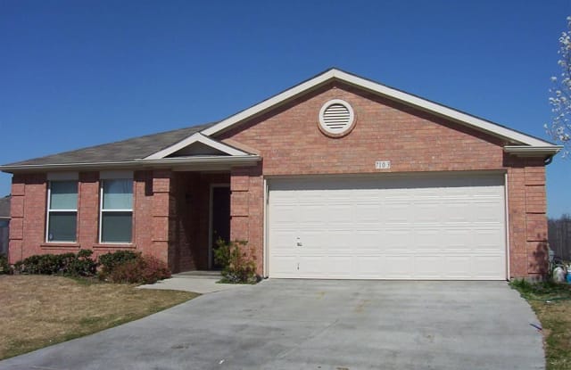 7103 Hanrahan Ct - 7103 Hanrahan Court, Arlington, TX 76002