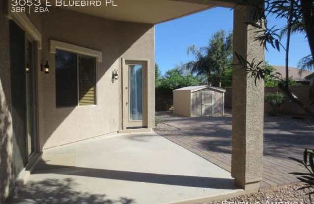 3053 E Bluebird Pl Gallery 2
