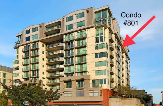 0bd/1ba Bellevue Condo photos photos 0bd/1ba Bellevue Condo photos photos