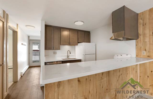 Updated Modern 2 Bedroom Unit w/ Fireplace photos photos