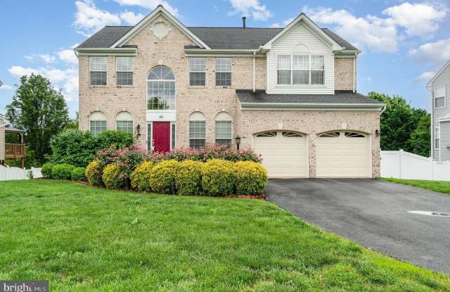 46 NORTHAMPTON BLVD photos photos
