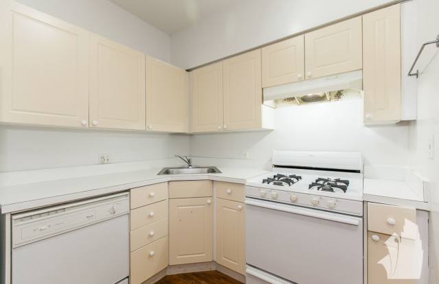 917 West Dakin Street - 917 West Dakin Street, Chicago, IL 60613