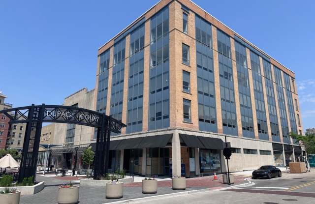 40 DuPage Court unit: 409 photos photos