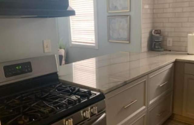 133 Bogard Street - 133 Bogard Street, Charleston, SC 29403
