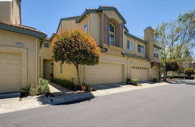 4135 Veneto Court photos photos