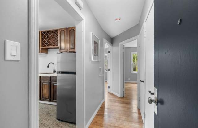 5 Bird St photos photos 5 Bird St photos photos