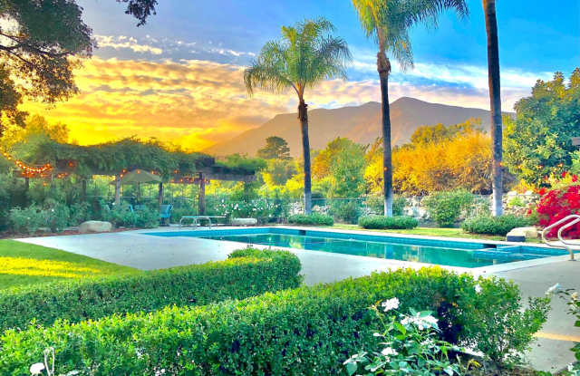 East End Paradise photos photos