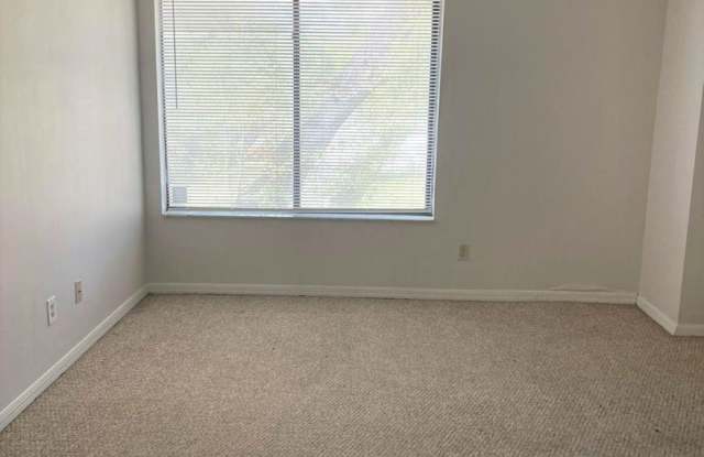 6778 Magnolia Pointe Cir Gallery 4