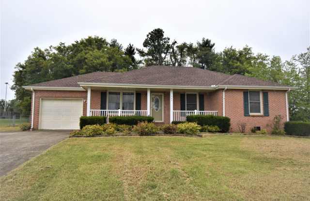 3 Bedroom Pet Friendly Home For Rent Near Dover Crossing! Gallery 3