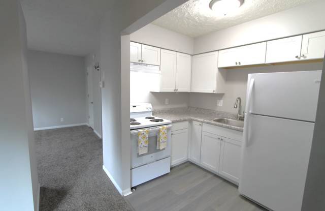 Great location and beautiful updates. Pet friendly one bedroom in Bellevue. photos photos