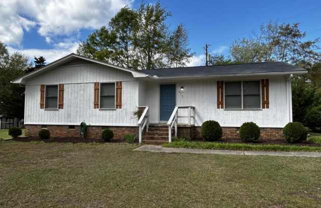 419 Patterson Street - 419 Patterson Street, Central, SC 29630