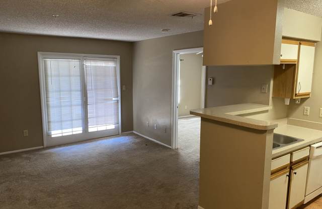Modern 1-Bedroom Apartment with Amenities in Altamonte Springs photos photos