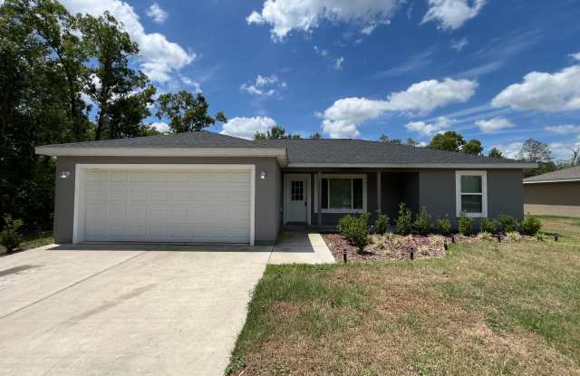 INCREDIBLE 3 Bedroom, 2 Bathroom Home In Ocklawaha!! photos photos