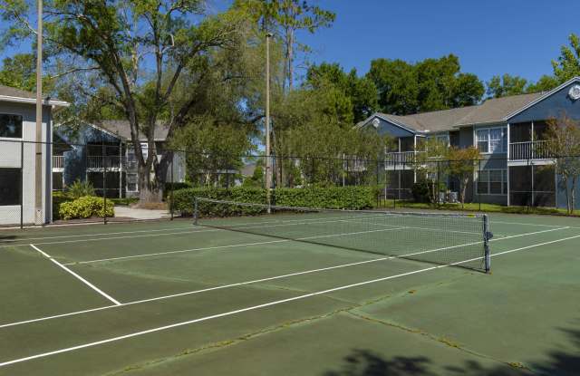 Boca Vista Gallery 3
