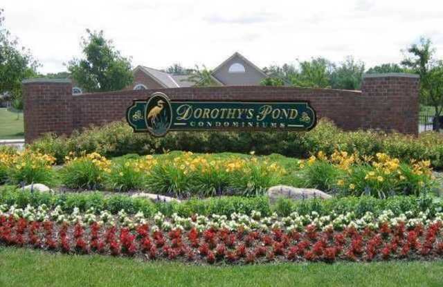 6537 Dorothy's Creek Gallery 2