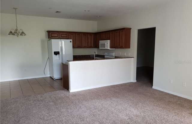 2539 RIVER PRESERVE COURT Gallery 4