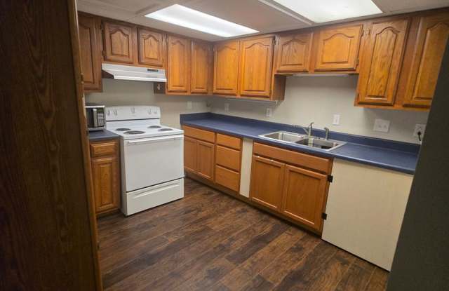 Spacious Townhouse in the Heart of Johnson City - $2,300/Month Gallery 3