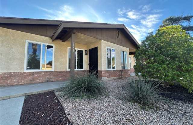 2576 Lime photos photos