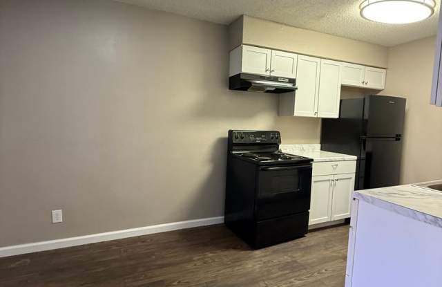 Larger Two Bedroom One Bath Apartment for Leasing. Gallery 3
