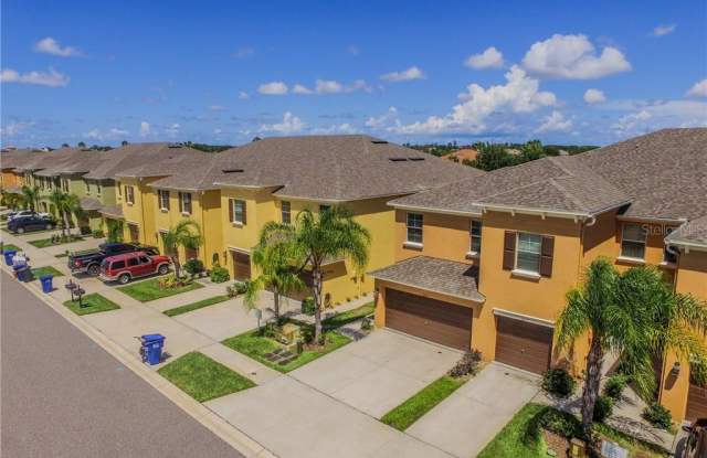 9613 TRUMPET VINE LOOP - 9613 Trumpet Vine Loop, Trinity, FL 34655
