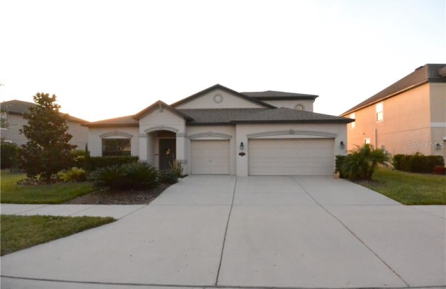 10610 MISTFLOWER LANE - 10610 Mistflower Lane, Tampa, FL 33647