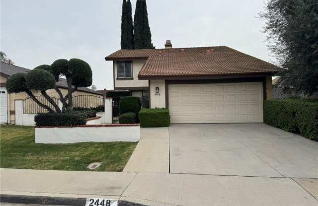 2448 Flora photos photos